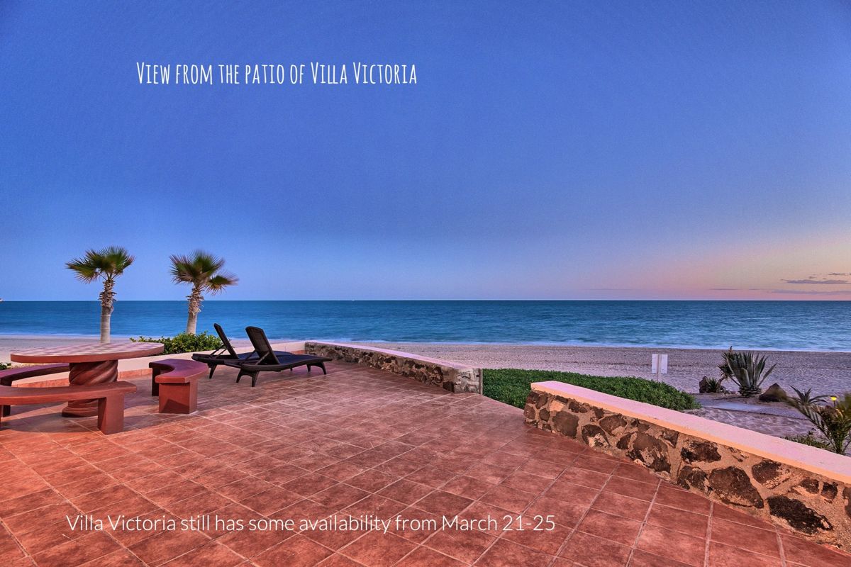 Book your vacation before your favorite properties are gone!